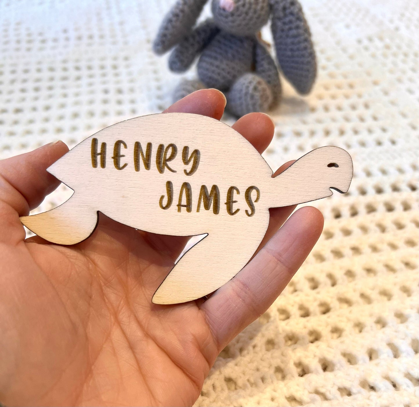 Turtle Baby Announcement Sign - Turtle Bedroom Theme - Mama and Papas Turtle - Personalised Sign for Baby - Social Media Prop Photo