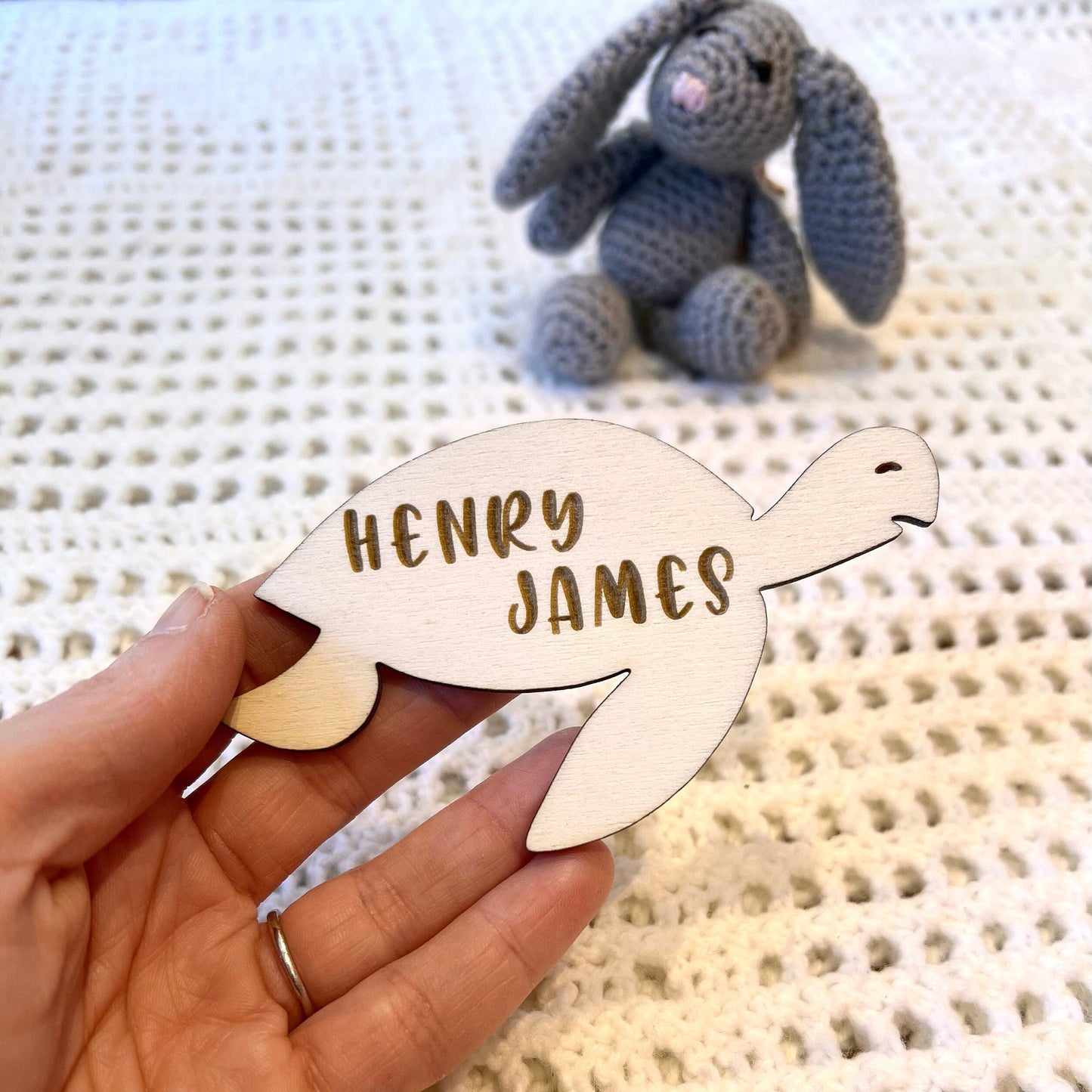 Turtle Baby Announcement Sign - Turtle Bedroom Theme - Mama and Papas Turtle - Personalised Sign for Baby - Social Media Prop Photo