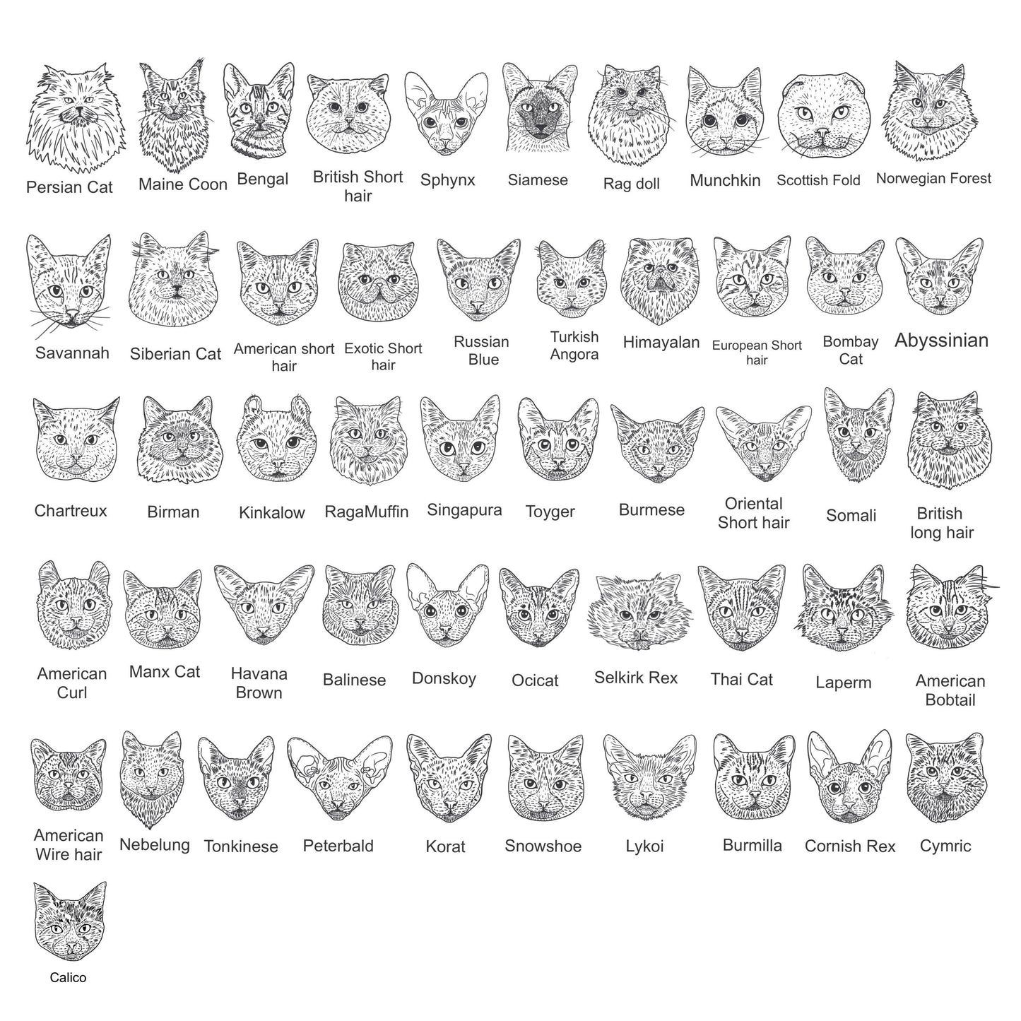 Cat Gifts, Cat Birthday, Cat Gifts for Men, Cat Lover Gift, This Human Belongs to, Kitten Gift, Cat Birthday Card, Cat Charm, Cat Mum Dad